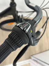 אופני עיר xds