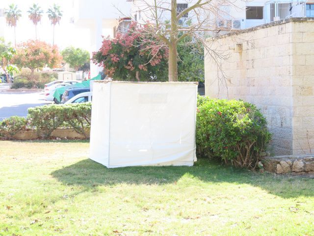 סוכה סוכות
