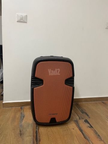 בידורית Pure Acoustics 12