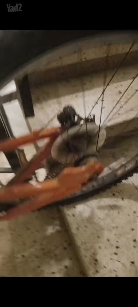 אופני Mongoose Fireball