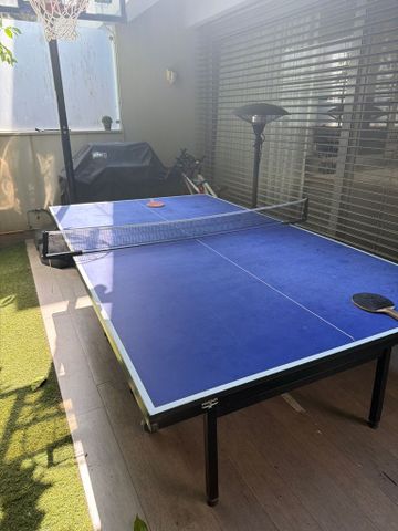 שולחן פינג פונג