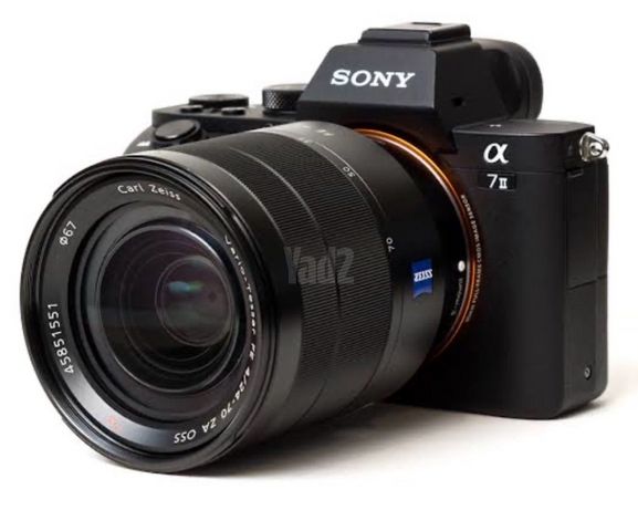 Sony A7 III+Zeiss f4 24-70