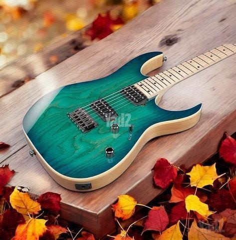 גיטרה IBANEZ