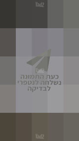קלרינט בופה E12 חדש באריזה