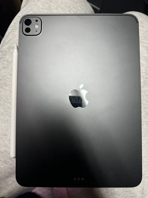 Ipad pro m4 256 gb