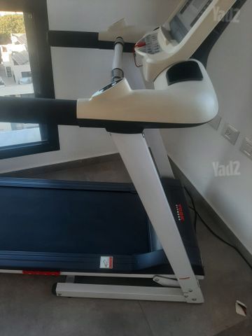 אליכון ספורט