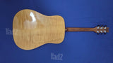 גיטרה Washburn D12S MEL+ נרתיק