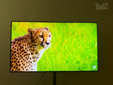 LG OLED 48