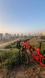 אופני הרים