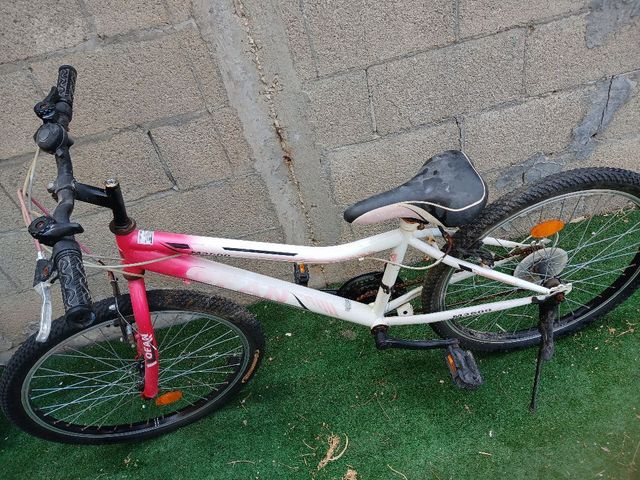 אופניים מידה 24
