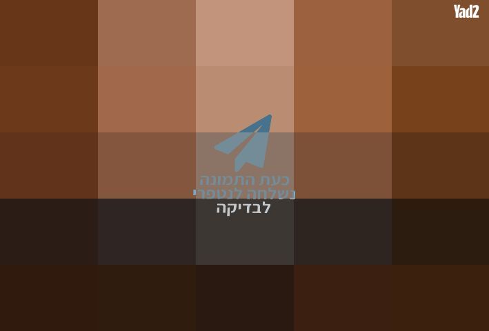 אורגן-SX900