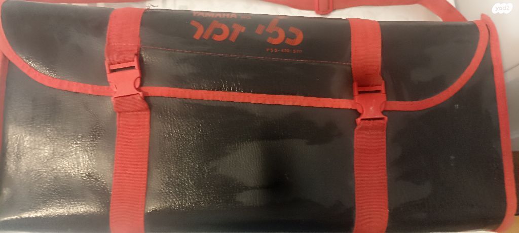 אורגנית חשמלית