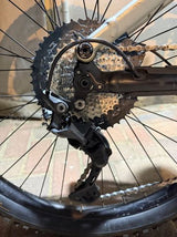 Merida eOne-Sixty 500