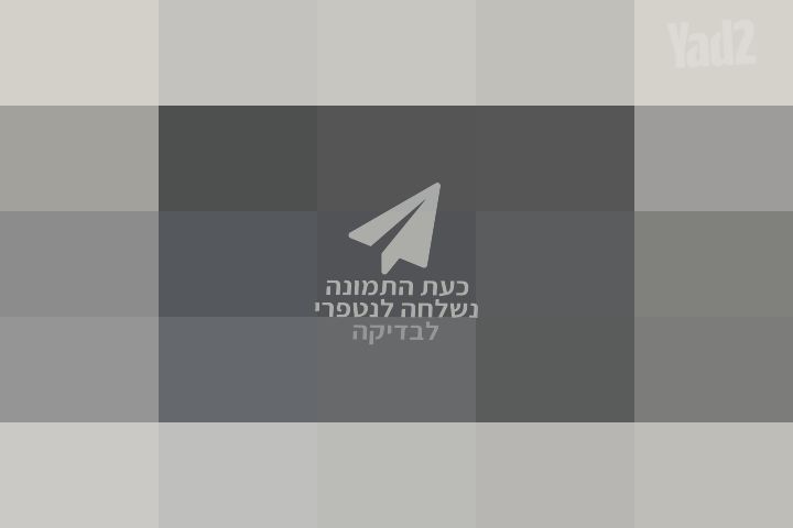 2 פלטות שבת ענקיות