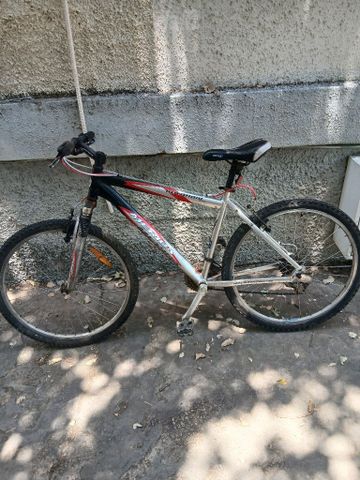 מרידה קלאהרי MERIDA