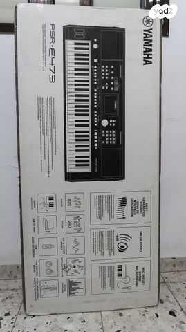 אורגנית PSR E473