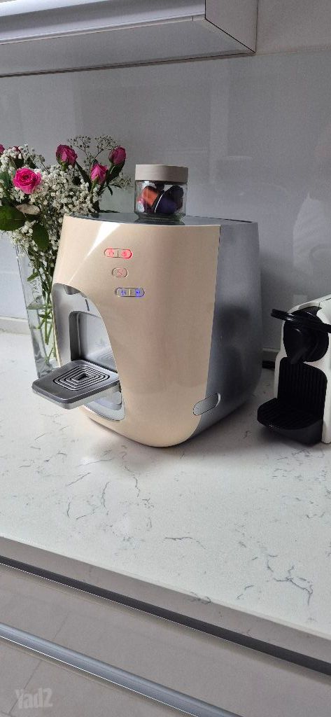 תמי 4 פרימו
