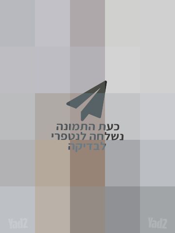 גיטרה כורט