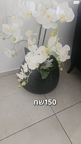 פרחים עם אגרטל