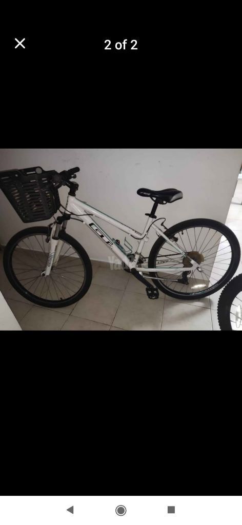 Gt26נשים