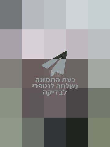 עגלת תאומים