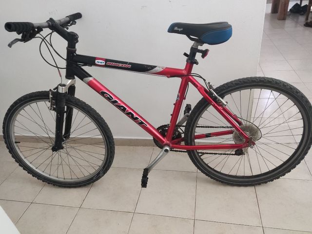 Giant26