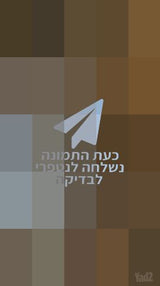 שער לחצר
