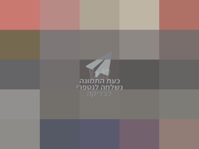 מדרגה