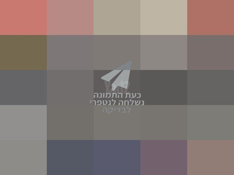 מדרגה