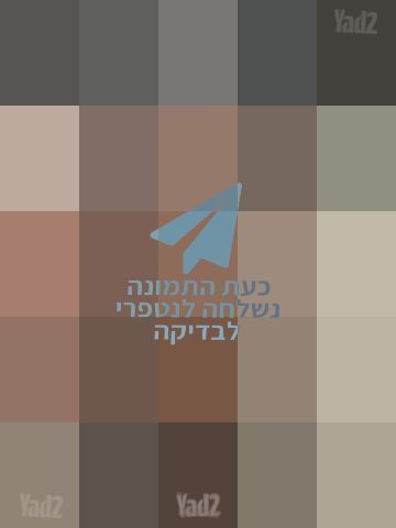 עניבה