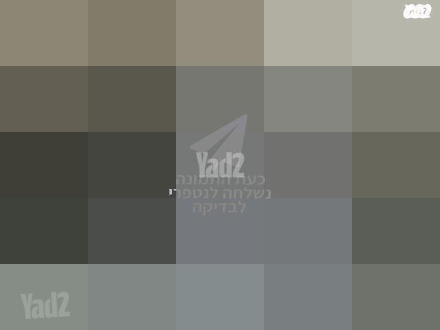 נינגה גריל
