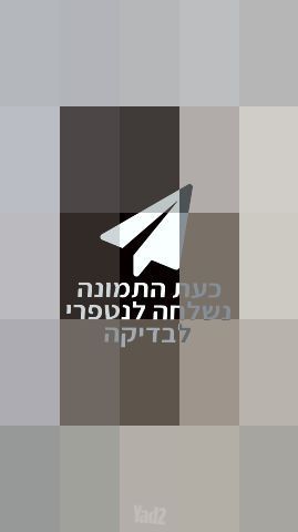 פאה