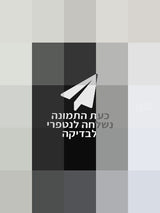 פראק 100% צמר בגיר