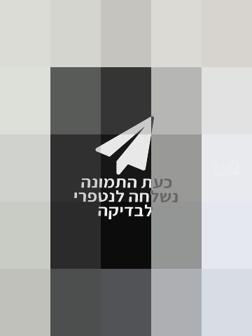 פראק 100% צמר בגיר