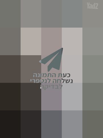 מיטת גלריה