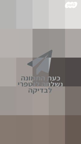 כלי נגינה