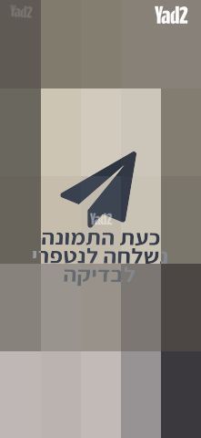 שטיח