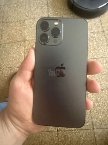 iPhone 13  Pro Max 256g