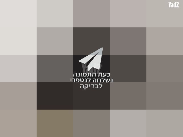 סלקל joie
