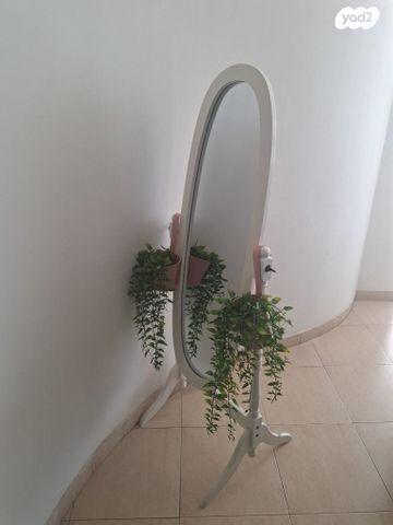 מראת עץ כחדשה