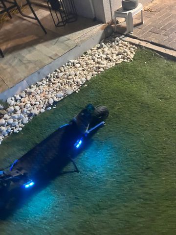 ‏קורקינט חשמלי