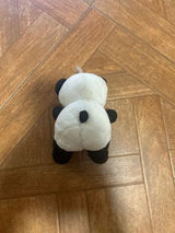 פנדה קטנה 🤍🐼