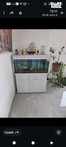 אקווריום לדגים