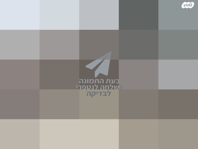 סלון