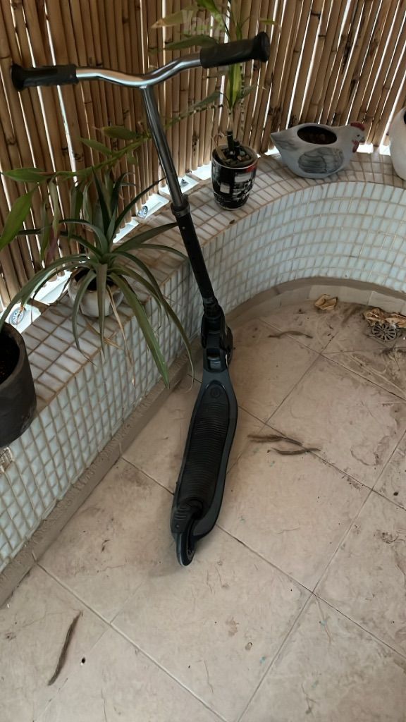 סקוט