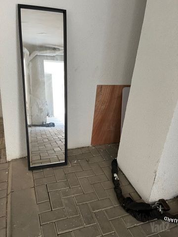 מראת גוף