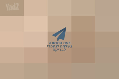 6 כסאות מעוצבים