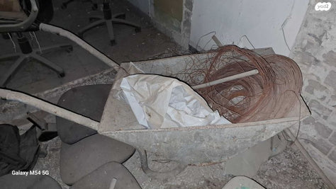 מריצה