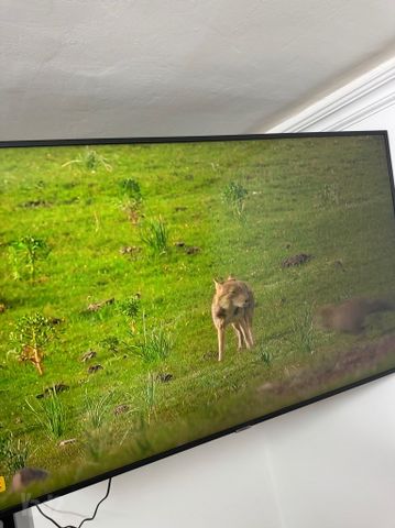 טלוויזיה Samsung