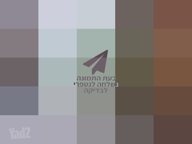 מאורר